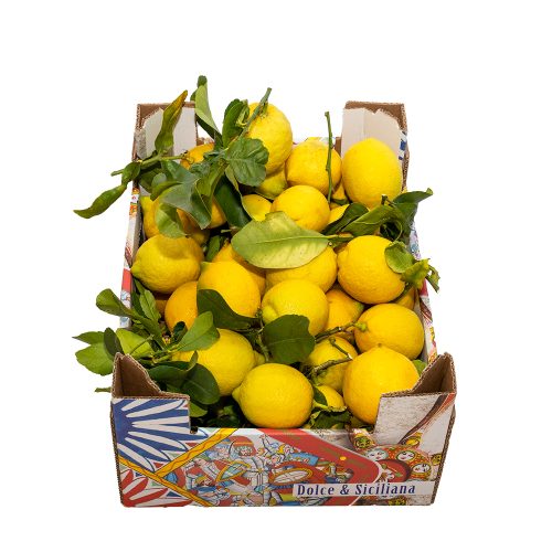 Limoni